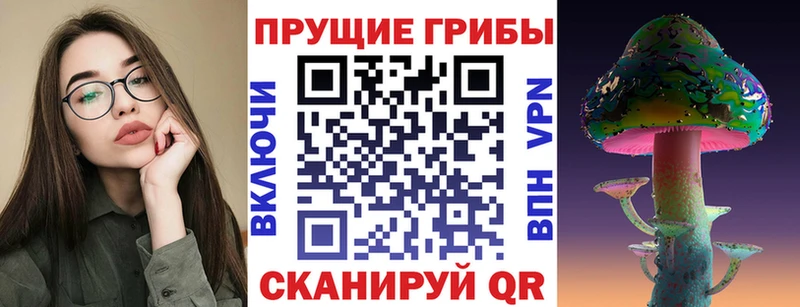 наркота Тайшет Псилоцибиновые грибы Cubensis
